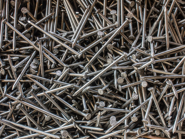 6" Galvanised Nails (25 pcs) - The Landscape Factory