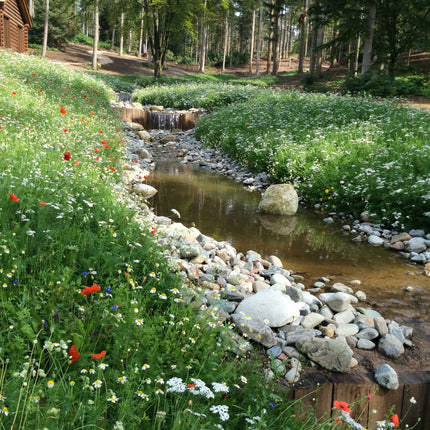 Tillers Wildflower Turf - The Landscape Factory